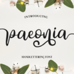 Paeonia Font Poster 1