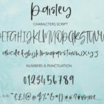 Paisley Font Poster 9