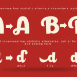 Paladise Font Poster 2