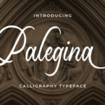 Palegina Font Poster 1