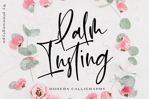 Palm Insting Font