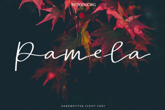 Pamela Script Font Poster 1