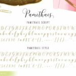 Pamithais Script Font Poster 12