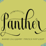 Panther Font Poster 1