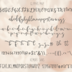 Paradise Script Font Poster 5