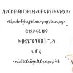 Party Dress Font Poster 8