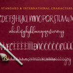 Passionate Font Poster 12