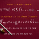 Passionate Font Poster 13