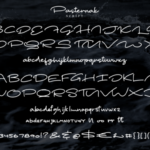 Pasternak Font Poster 8