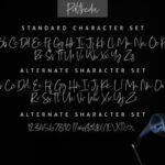 Pattheda Script Font Poster 5