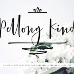 Pellony Kind Font Poster 1