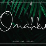 Perth Script Font Poster 4