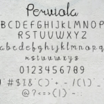 Perviola Font Poster 8