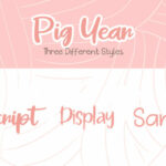 Pig Year Font Poster 5