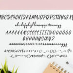 Pinkalova Font Poster 5