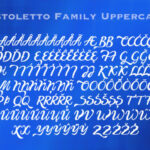 Pistoletto Font Poster 12