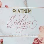 Platinum Evelyn Duo Font Poster 1