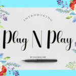 Plug N Play Font Poster 1