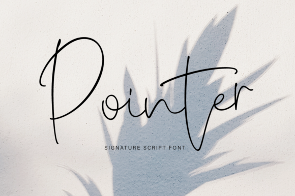 Pointer Font Poster 1