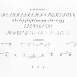Princella Script Font Poster 12