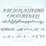 Pruistine Script Font Poster 8