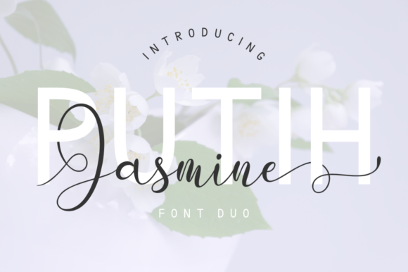Putih Jasmine Duo Font Poster 1
