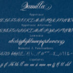 Qamilla Font Poster 4