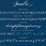 Qamilla Font Poster 4