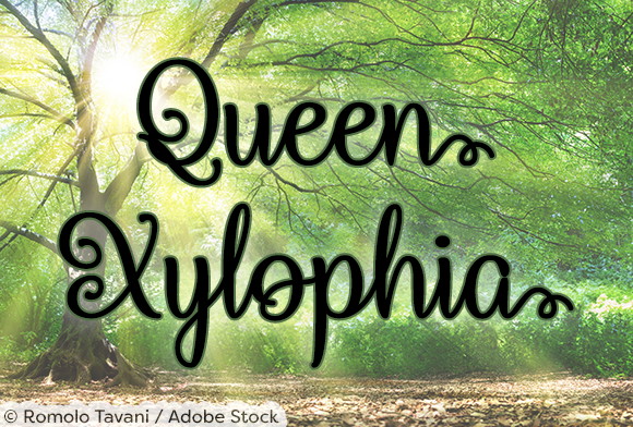 Queen Xylophia Font Poster 1