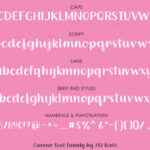 Queenie Font Poster 9