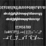 Querthy Script Font Poster 6