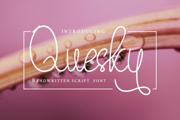 Quesky Font