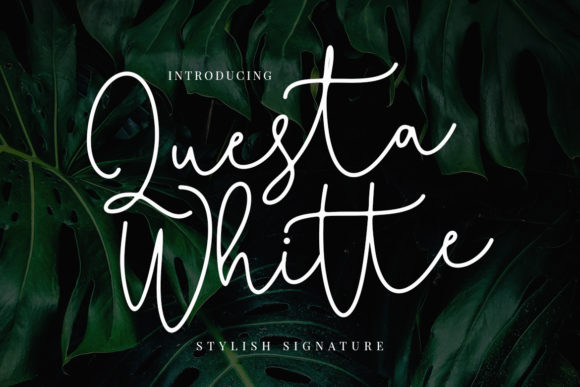 Questa Whitte Script Font Poster 1