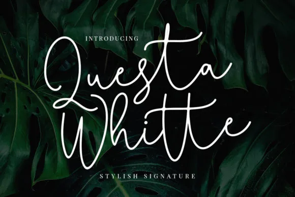 Questa Whitte Script Font Questa Whitte Script Font Poster 1