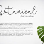 Questa Whitte Script Font Poster 3