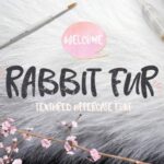 Rabbit Fur Font Poster 1