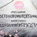 Rabbit Fur Font Poster 2