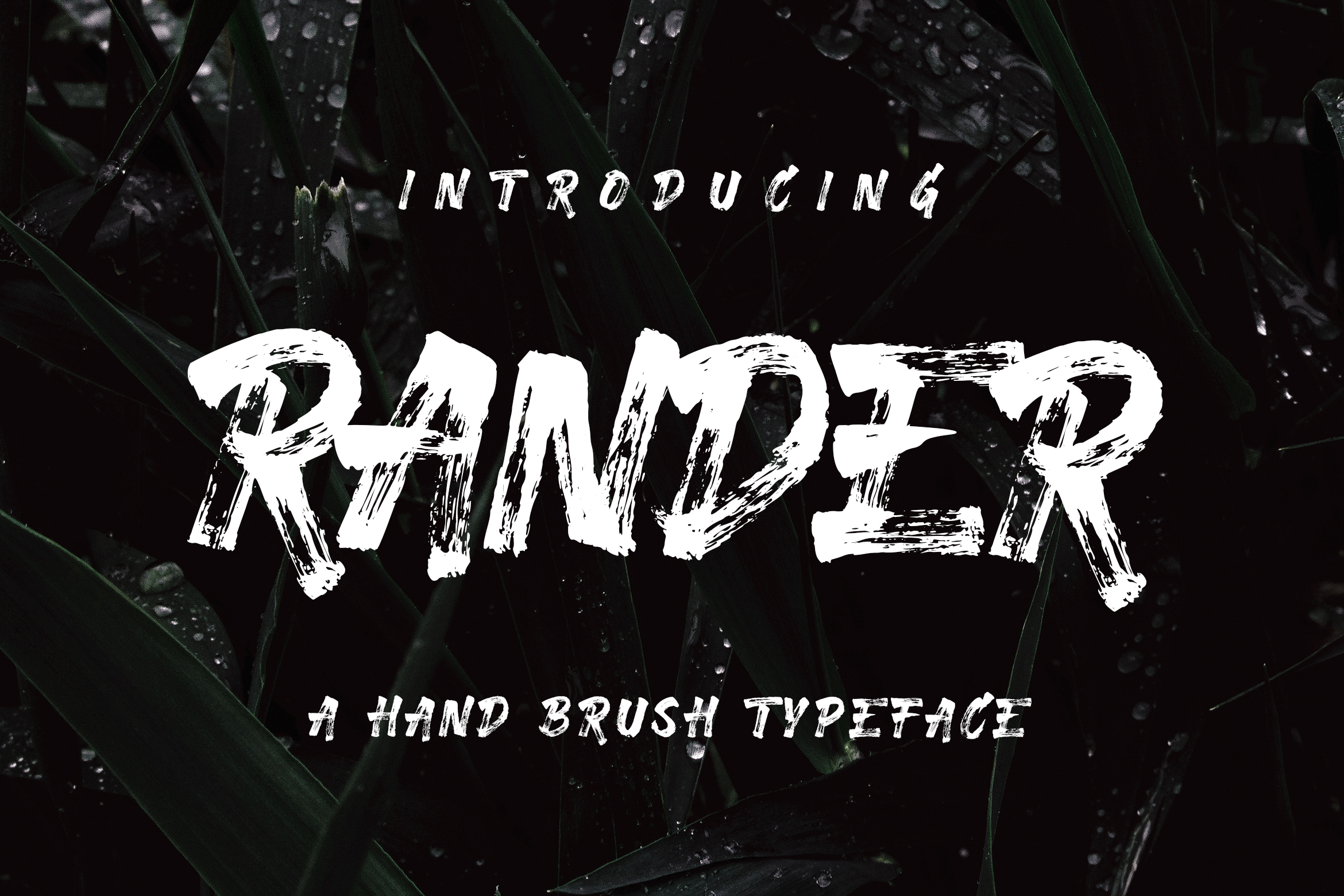 Rander Font