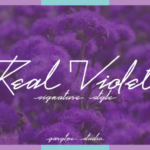 Real Violet Font Poster 1