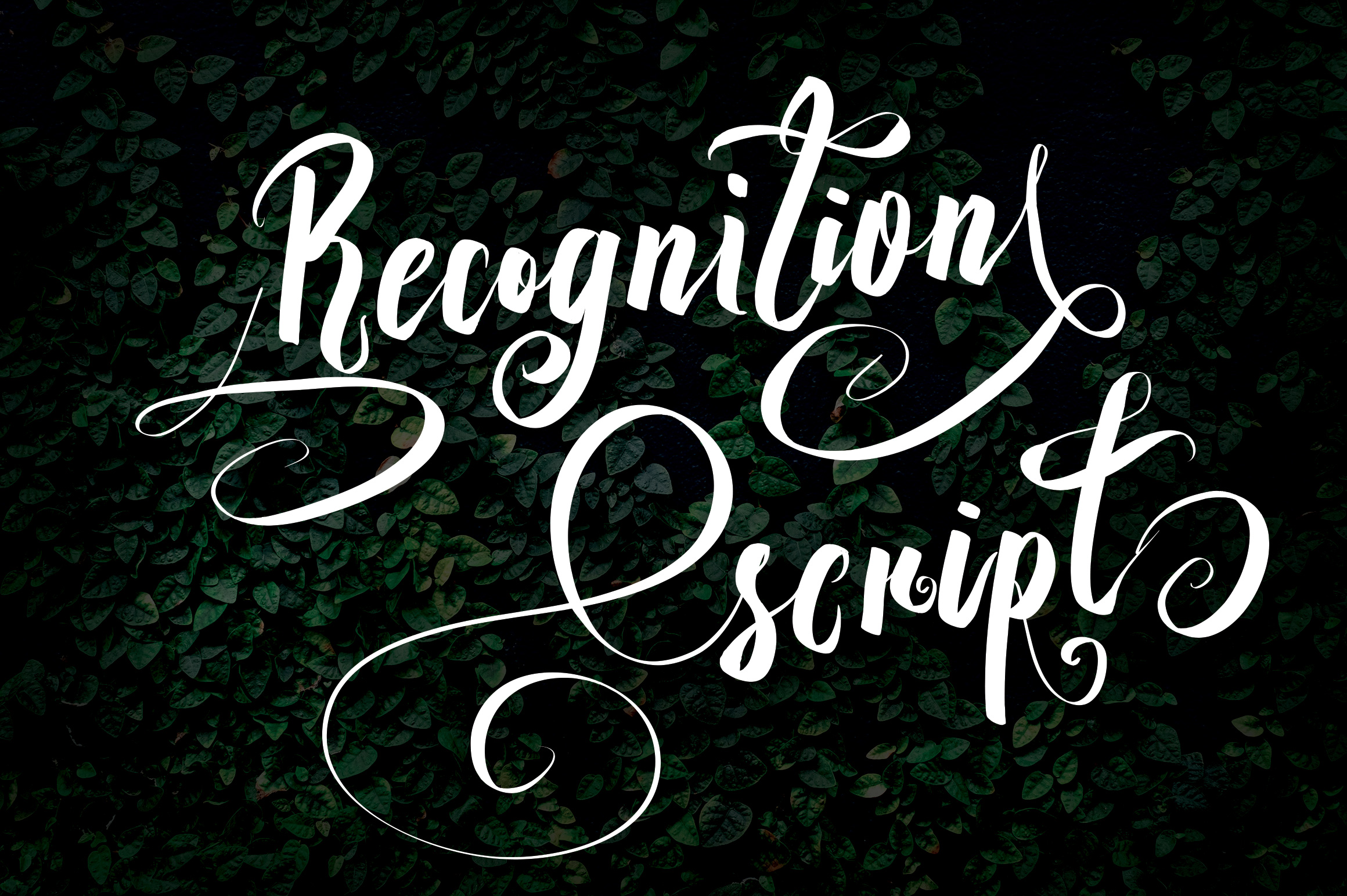 Recognition Script Font Poster 1