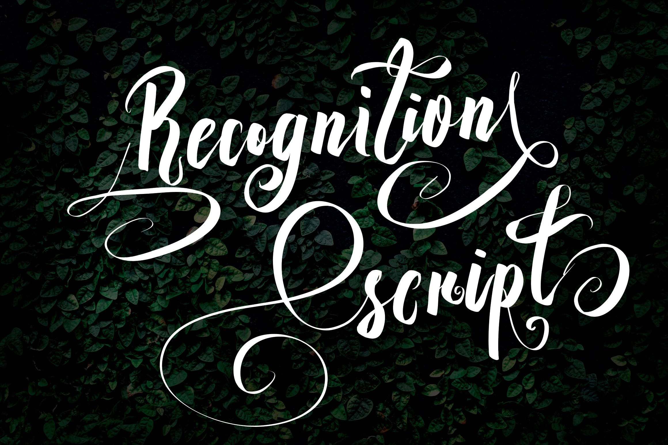 Recognition Script Font