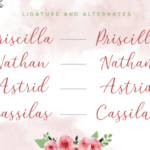 Red Camellia Font Poster 2