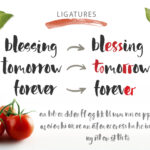 Red Tomato Font Poster 8