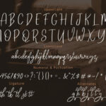 Reghina Font Poster 4