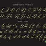 Restiany Script Font Poster 8