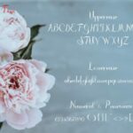 Rhannie Script Font Poster 2