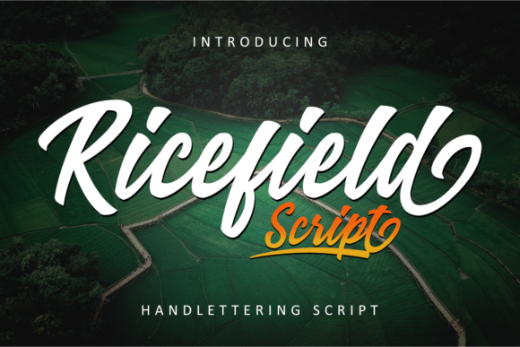 Ricefield Font