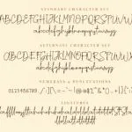 Richie Youthfield Font Poster 10
