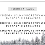 Robusta Duo Font Poster 8