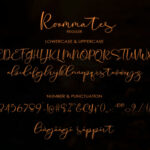 Roommates Script Font Poster 11